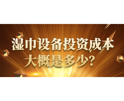 濕巾設備投資成本大概是多少？