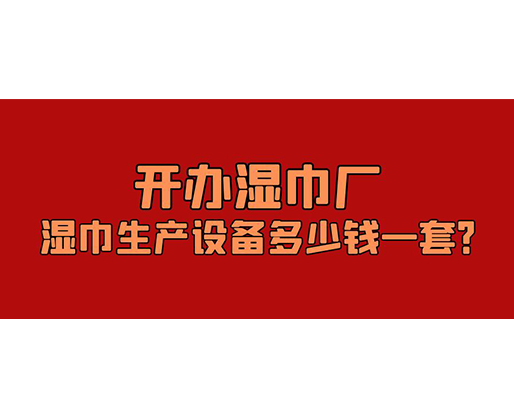 開辦濕巾廠，濕巾生產設備多少錢一套？