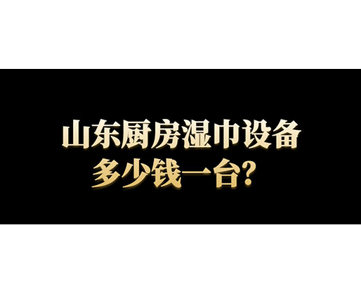 山東廚房濕巾設備多少錢一臺？