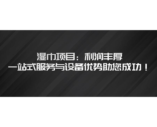 濕巾項目：利潤豐厚，一站式服務與設備優勢助您成功！